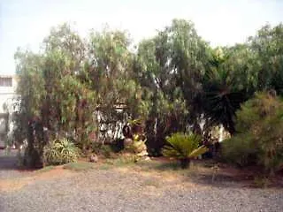 Landhaus Rural Era De La Corte - Adults Only Antigua (Fuerteventura)